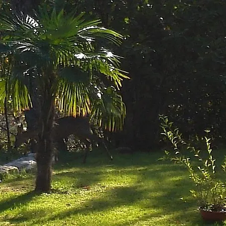 La Bastide De La Borde Grande Montcuq