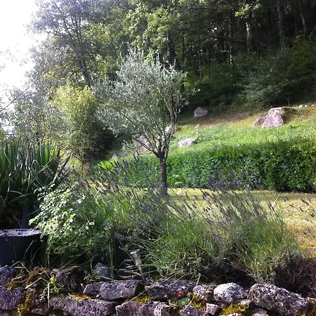Nocleg ze śniadaniem La Bastide De La Borde Grande Montcuq