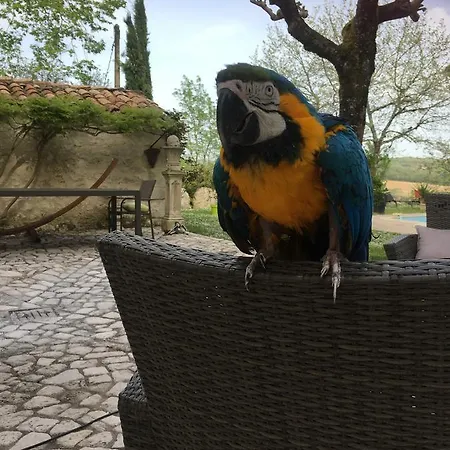 Nocleg ze śniadaniem La Bastide De La Borde Grande 4*
